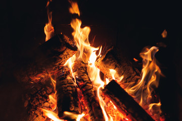 Fototapeta na wymiar burning fire logs in the fireplace