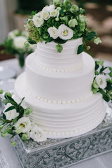 bride and groom cutting white wedding cake with green and white flowers, three tiered cake, silver cake stand, outdoor wedding reception