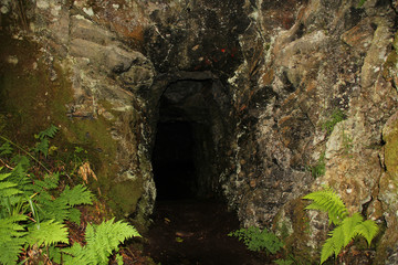 ancient, mysterious, dark stone cave in the mountains of Norway on the background of green ferns