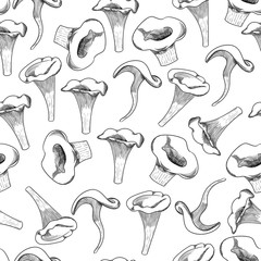 Mushroom seamless pattern hand drawn sketch vector illustration. Mushroom shiitake, fresh organic food isolated on white.