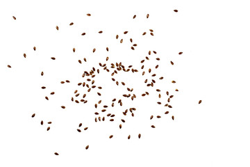 Flax seeds, brown Linseed. Background or texture of Linen seeds close-up.  Top view