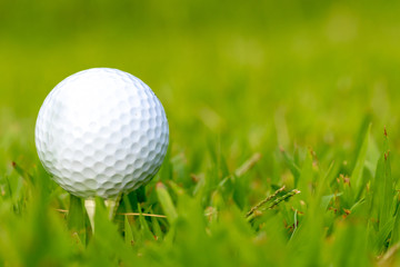 golf ball on tee, green grassy background with negative space right of the golf ball.