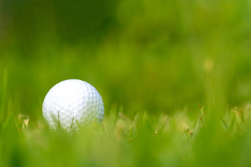 golf ball in green grass on the ruff of a golf course