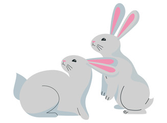 Cute two rabbits animals cartoons