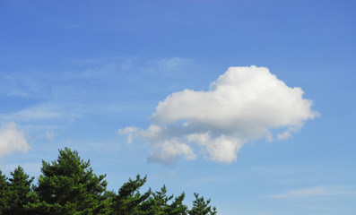 Obraz premium 空 雲 木 素材