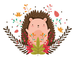 Isolated hedgehog cartoon vector design