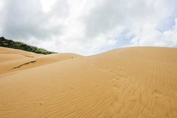 La Macuira's dunes