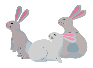Cute three rabbits animals cartoons