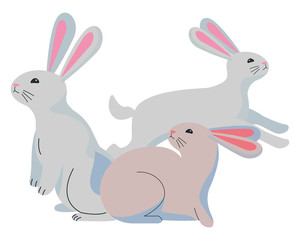 Cute three rabbits animals cartoons