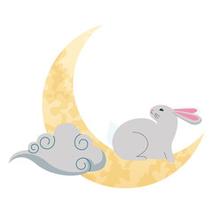 Rabbit on moon with cloud