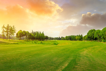 Green grass and forest with beautiful clouds at sunset © ABCDstock