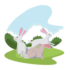 Cute three rabbits animals cartoons
