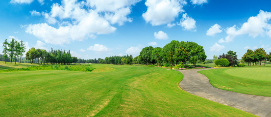 Green grass and blue sky with white clouds in summer season