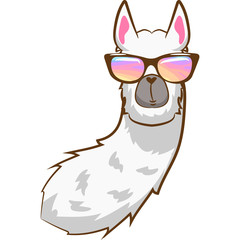 llama vector graphic clipart design © pisut