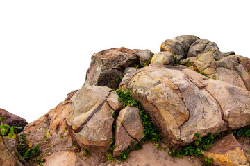 The trees.Rocks and Stone on the Mountain .Isolated on White background