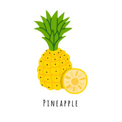 Pineapple fruit flat vector illustration