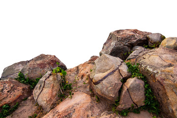 The trees.Rocks and Stone on the Mountain .Isolated on White background