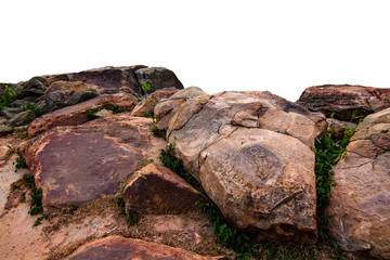 The trees.Rocks and Stone on the Mountain .Isolated on White background