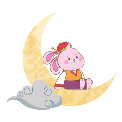 Mid autumn cute rabbit on moon with cloud