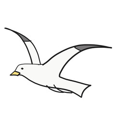 Seagull flat color illustration on white