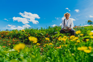 Farmer seated on a bench located on a beautiful garden of flowers with a blue sky