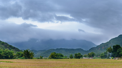 Obraz premium Vue des montagnes du Nord Vietnam et de rizières ainsi que d'une route