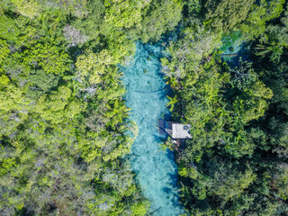 river in the forest