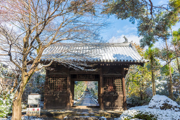 初雪の輪王寺