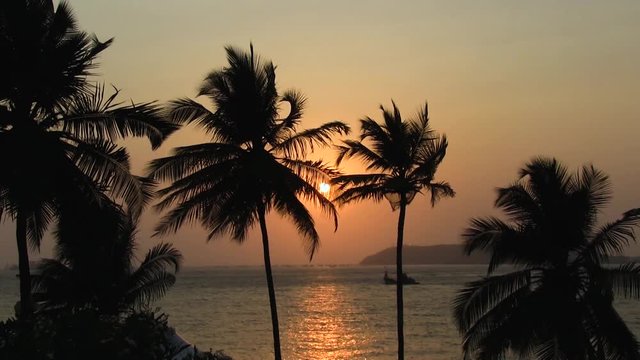 Very beautiful sunset in Goa India while wind blowing the palm trees.