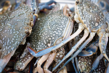 Fresh crabs in the tray