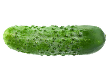 Cucumber vegetable