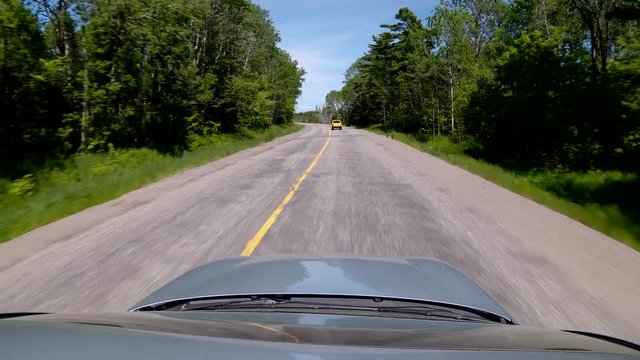 Driving Behind a Yellow Pickup Truck On Back Road, Wide Sunroof POV in 4K 60fps. Sunny Summer Midday and Green Pine Trees, Blue Sky.