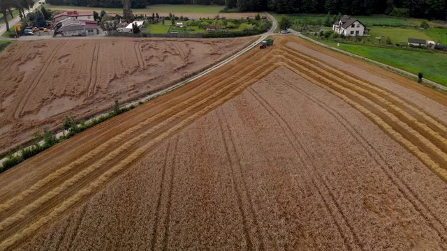 Aerial shooting on gold field in agriculture environment, harvest time on europe, nice shape gorund