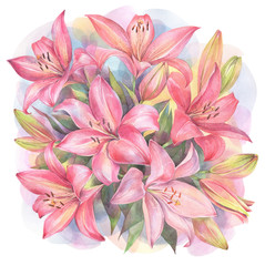 Floral composition with red and pink Lily flowers on colorful background. Hand painted watercolor illustration.