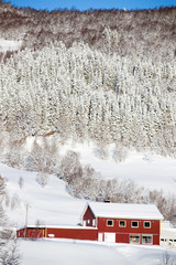 traditional norwegian wooden house