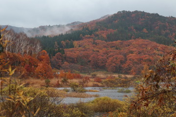 紅葉の山　恩原高原