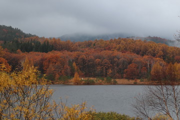 紅葉の山　恩原高原