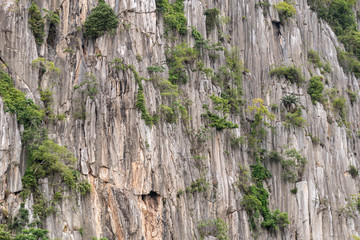 Edge of cliff with trees background.Texture of rock cliff.