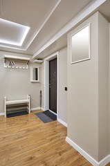 Entrance hall in minimalist style: doors, ceiling, lighting