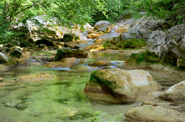 Naklejka na ściany i meble Mountain forest stream. Transparent mountain river flows through the beautiful stones.