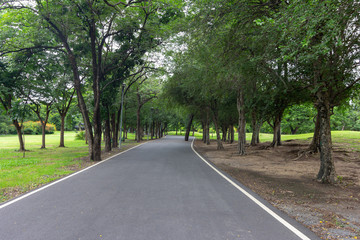 Fototapeta na wymiar Garden walkways with natural looking trees