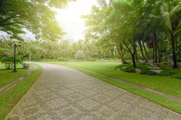 Garden walkways surrounded by green trees