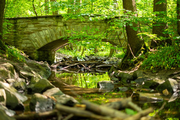 Steinbr&uuml;cke im Wald