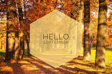 Hello September banner. New month. Greeting card. Golden autumn. The text in the photo. Trees in the park. City Park. Autumn Park - obrazy, fototapety, plakaty