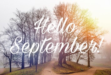 Hello September banner. New month. Greeting card. Golden autumn. The text in the photo. Trees in...