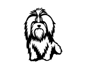 shih tzu vector illustration in black and white 