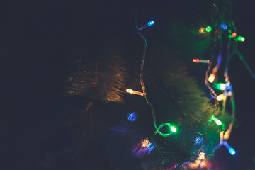 Close-up view of Christmas tree decorated with garland lights