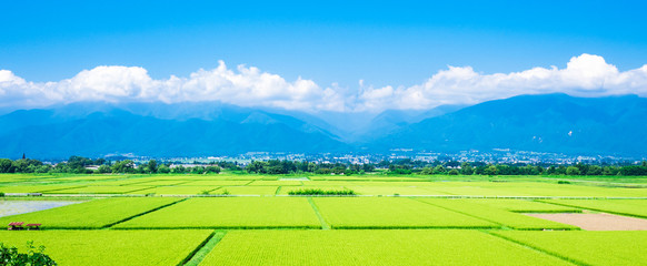 夏の田園風景　安曇野　ワイド