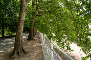 promenade parc des Célestins