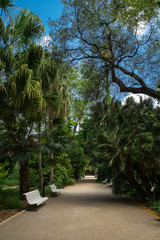 Fototapeta premium Valencia, Spain-07/19/2019: Jardin Botanico de la Universidad de Valencia, The Botanical Garden of the University of Valencia was founded in 1567 for the study of medicinal plants. Editorial Only.
